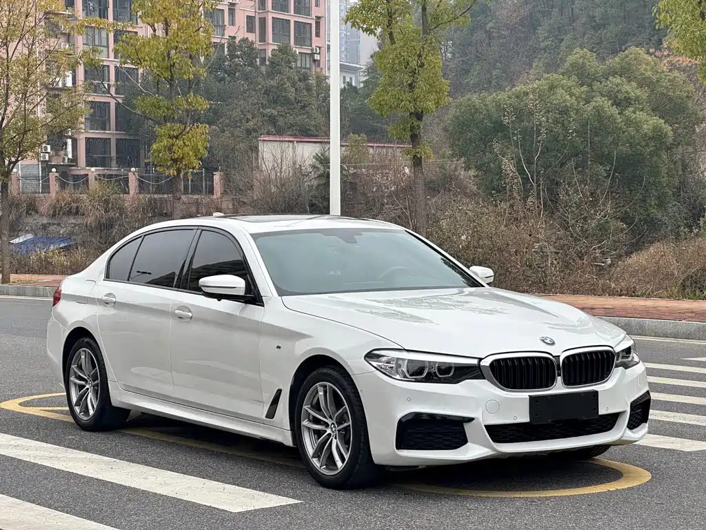 BMW 5 Series 2019 — фото 3