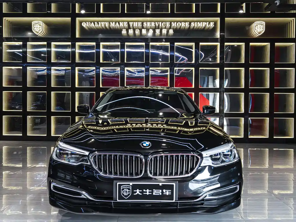 BMW 5 Series New Energy 2019 — фото 2