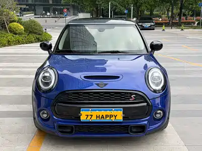 MINI MINI 2019
