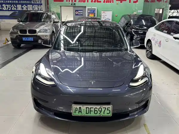 Tesla Model 3 2019
