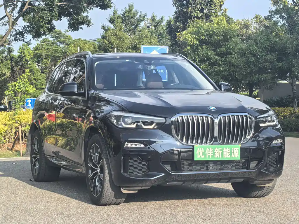 BMW X5 New Energy 2020 — фото 3