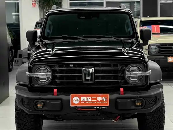 Tank 300 2024