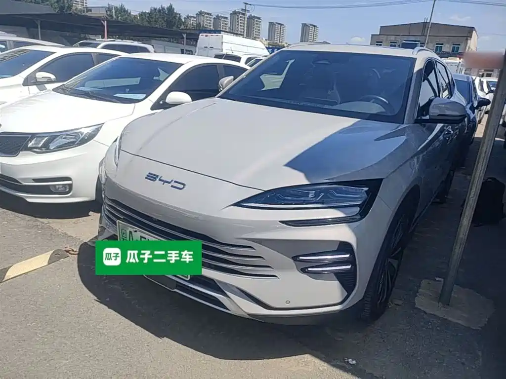 BYD PLUS New Energy 2023 — фото 2