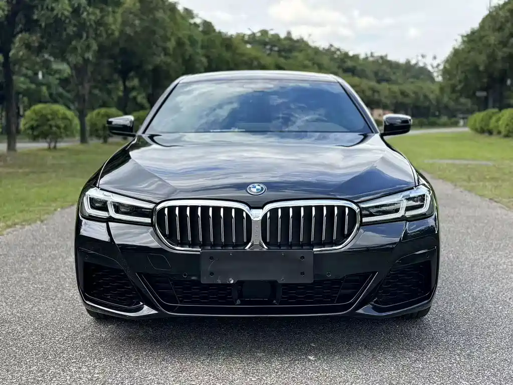 BMW 5 Series New Energy 2022