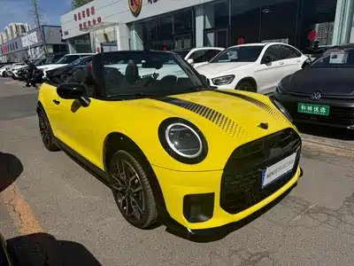 MINI MINI 2025