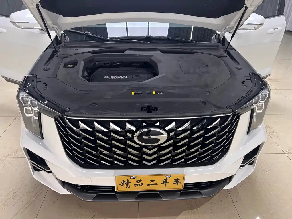 GAC Trumpchi GS8 2024 — фото 16