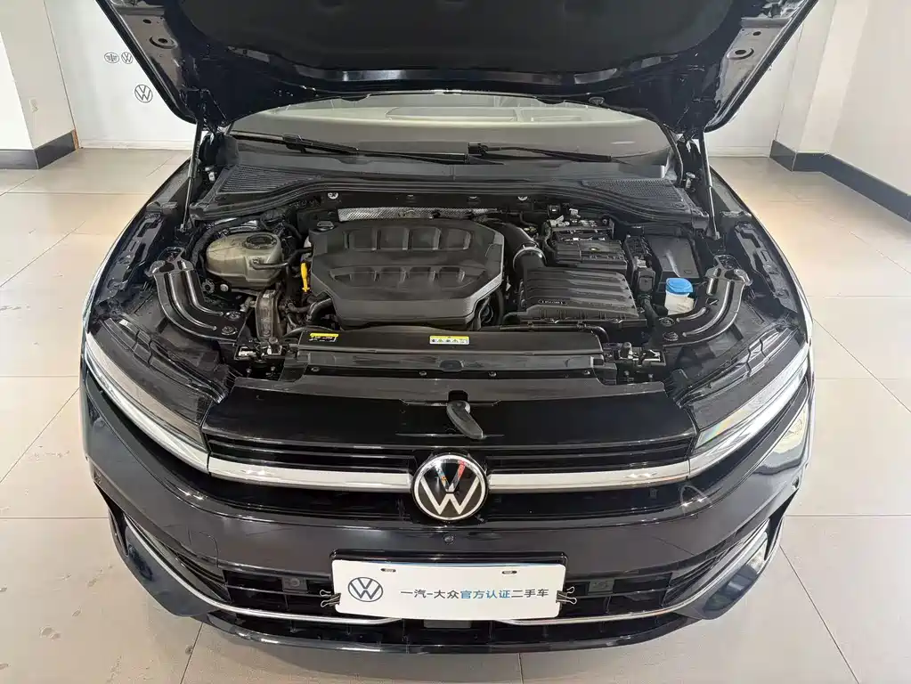 Volkswagen Magotan 2024