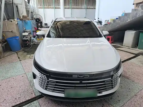 BYD Destroyer 05 2024