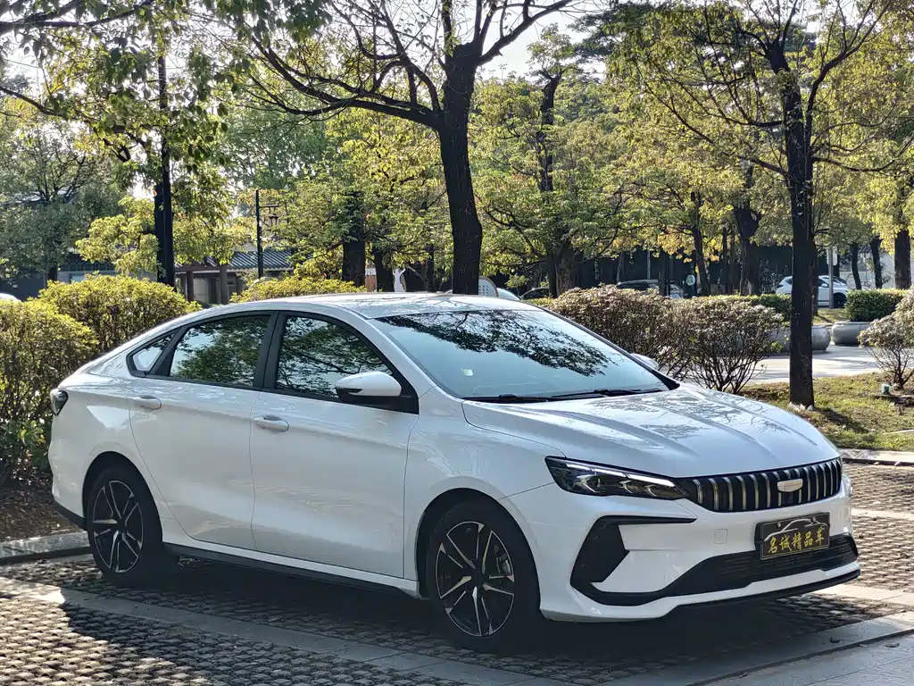 Geely Binrui 2024