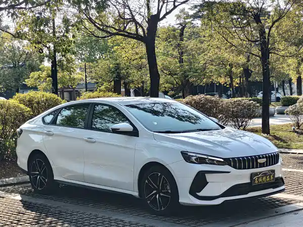 Geely Binrui 2024