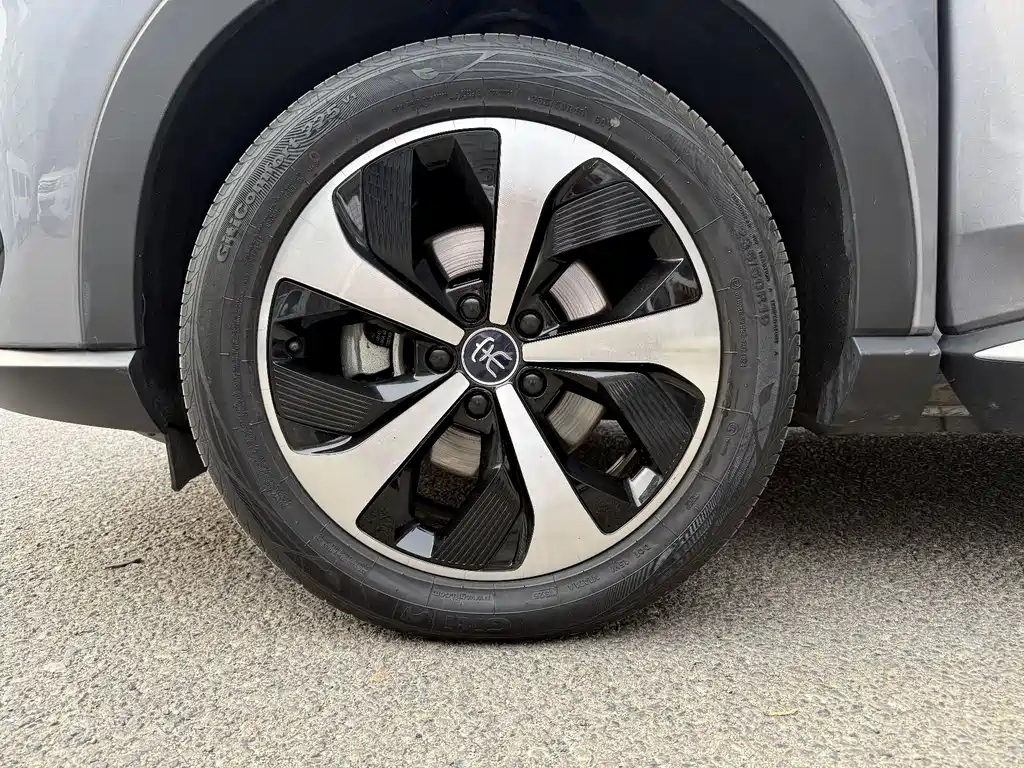 BYD PLUS New Energy 2022 — фото 13