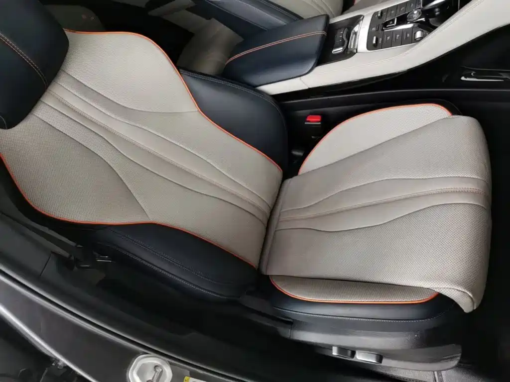 BYD PLUS New Energy 2023 — фото 19