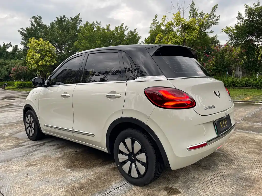 Wuling Bingo 2024
