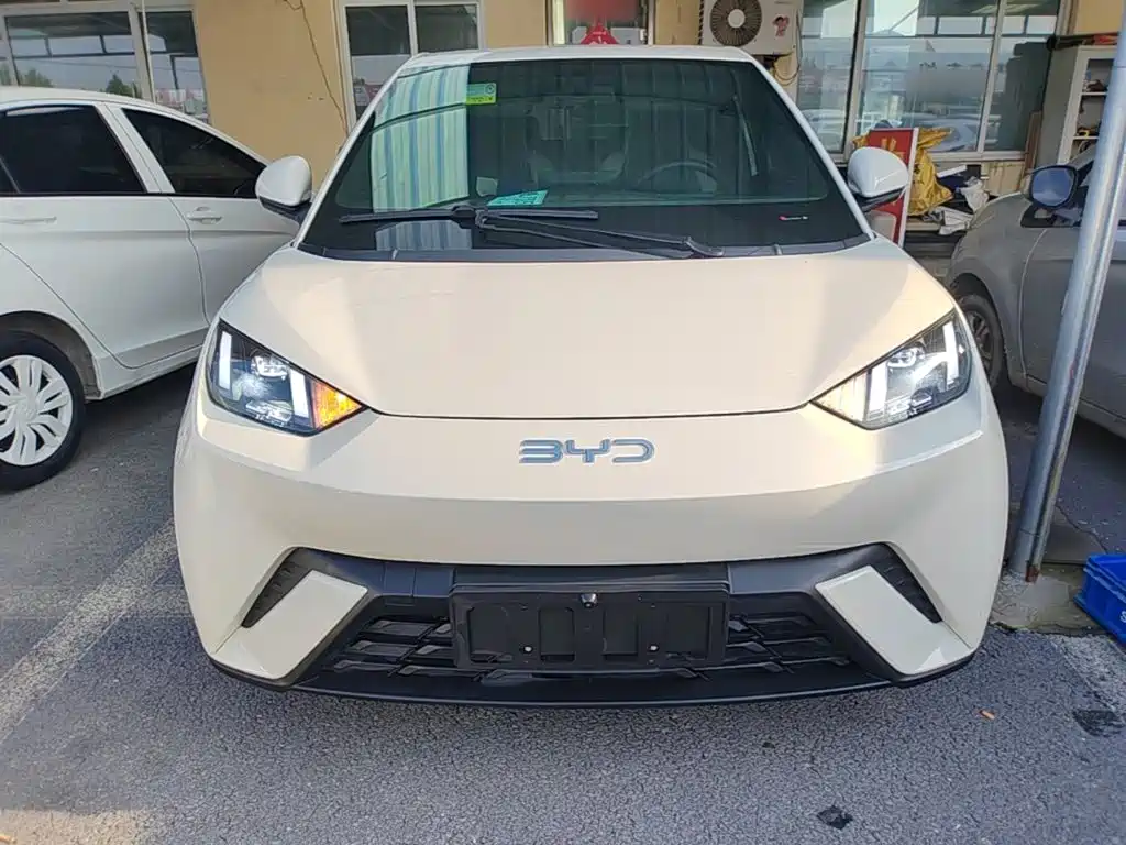 BYD Seagull 2025