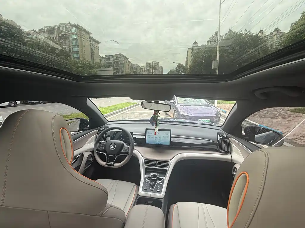 BYD Pro New Energy 2024 — фото 4