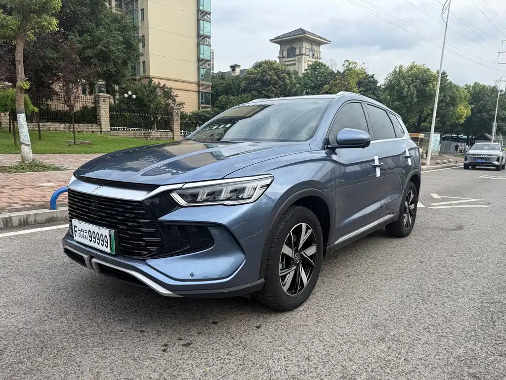 BYD Pro New Energy 2024