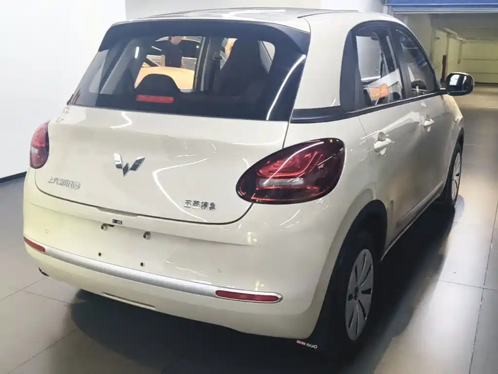 Wuling Bingo 2024