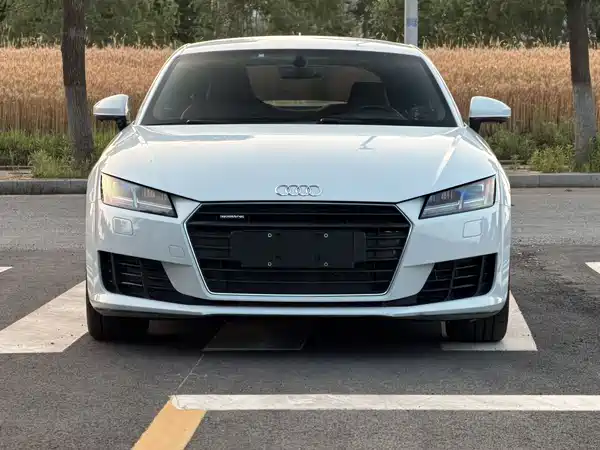 Audi TT 2015