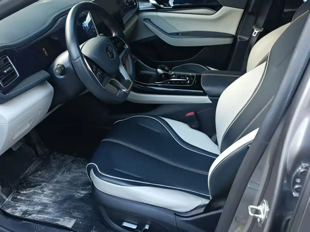 BYD Qin PLUS 2021