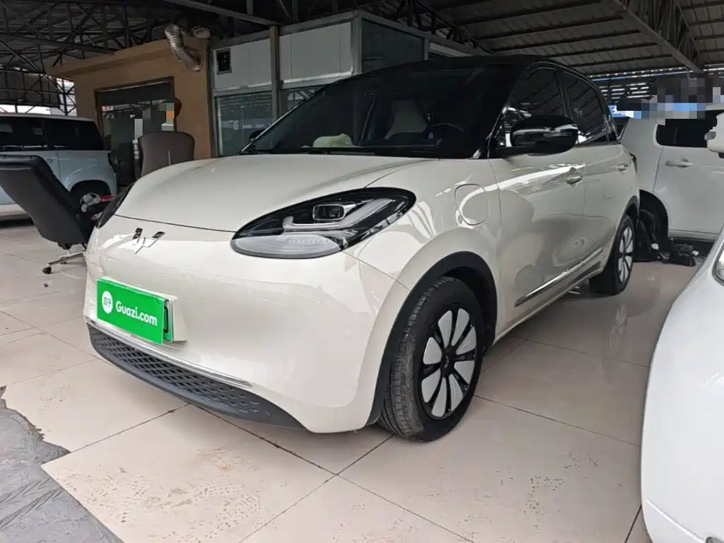 Wuling Bingo 2024