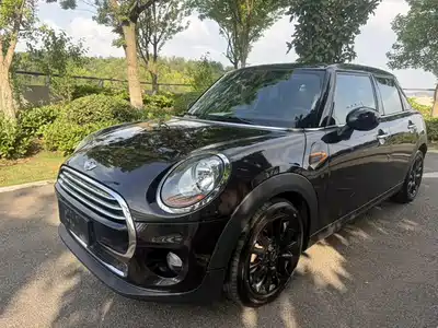 MINI MINI 2015