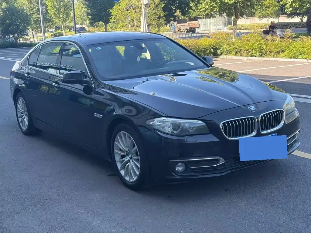 BMW 5 Series 2017 — фото 2
