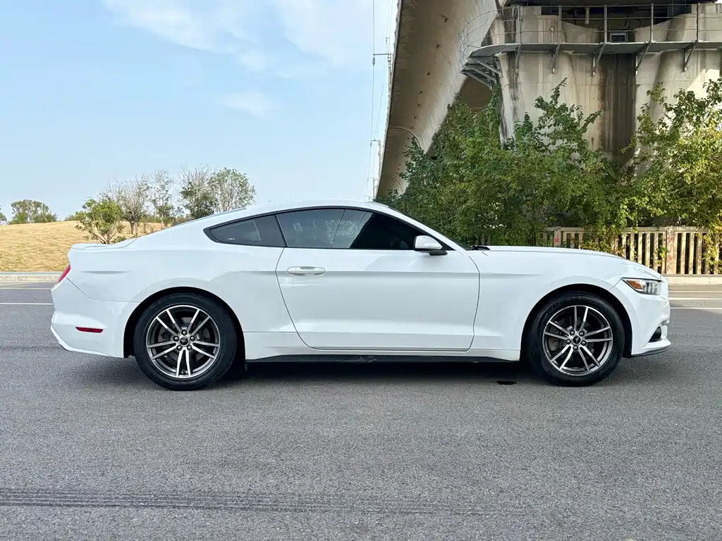 Ford Mustang 2016 — фото 4