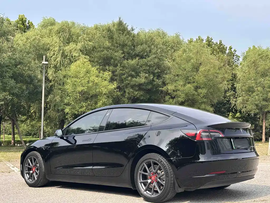 Tesla Model 3 2023 — фото 5