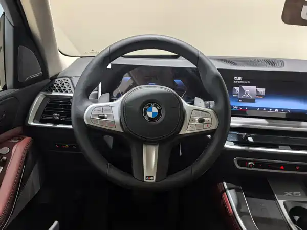 BMW X5 2025