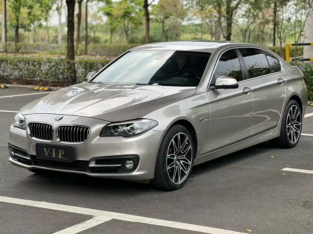 BMW 5 Series 2016 — фото 1