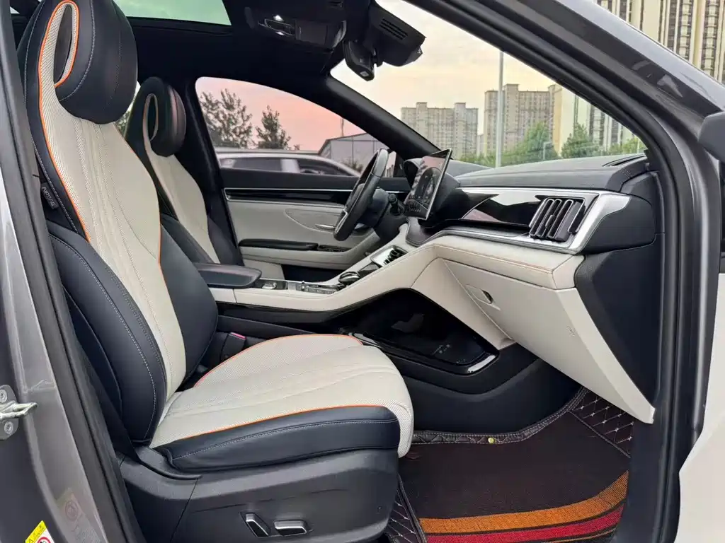 BYD Song PLUS New Energy 2022 — фото 8