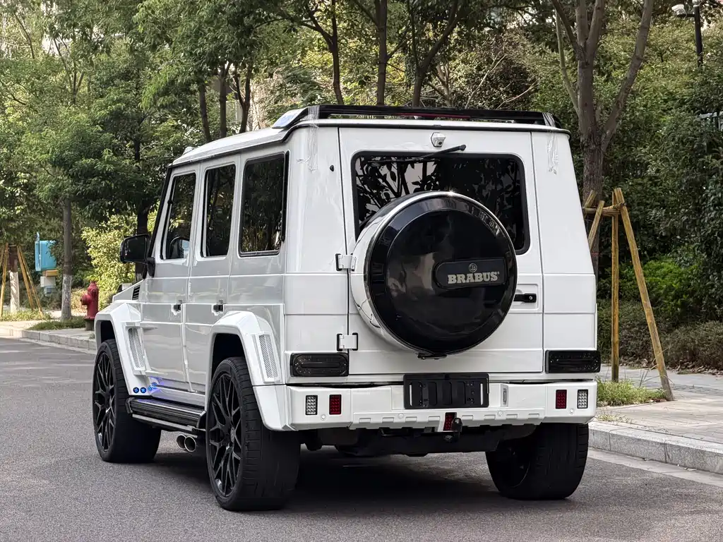 Mercedes-Benz G-Class 2017 — фото 16