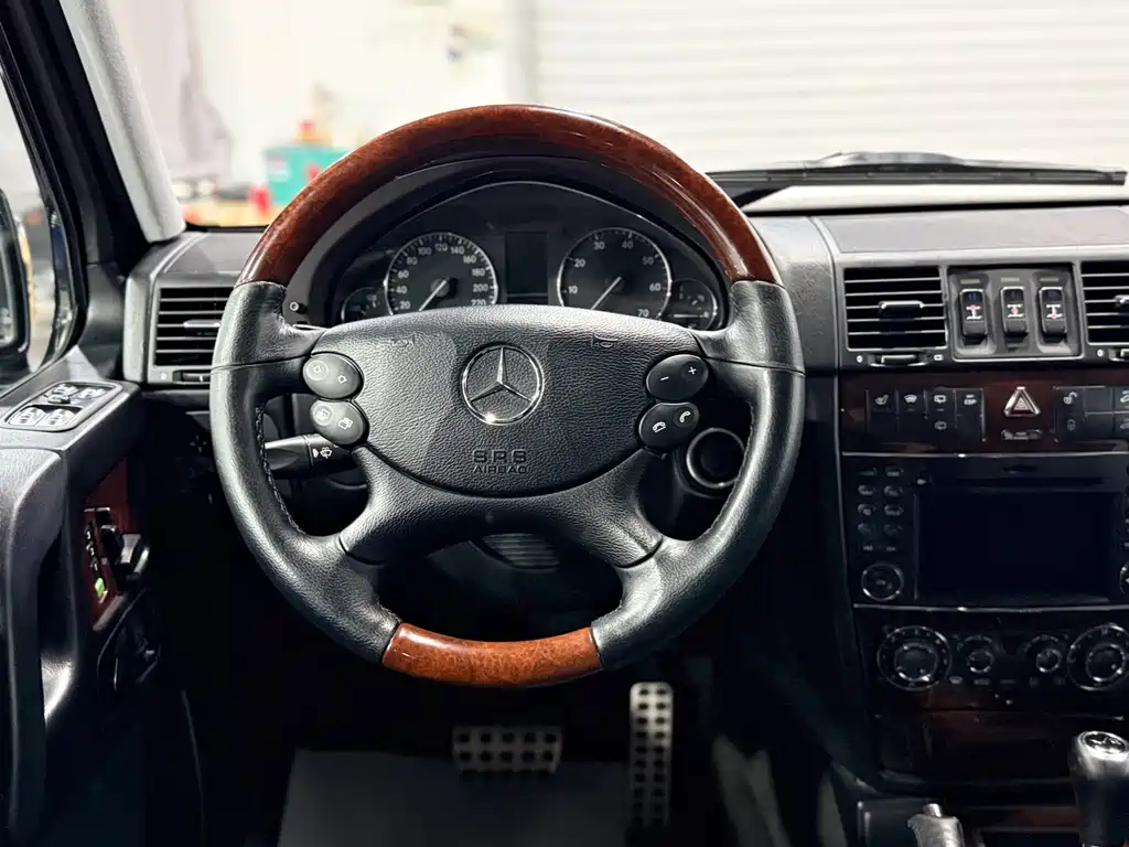 Mercedes-Benz G-Class 2010 — фото 19