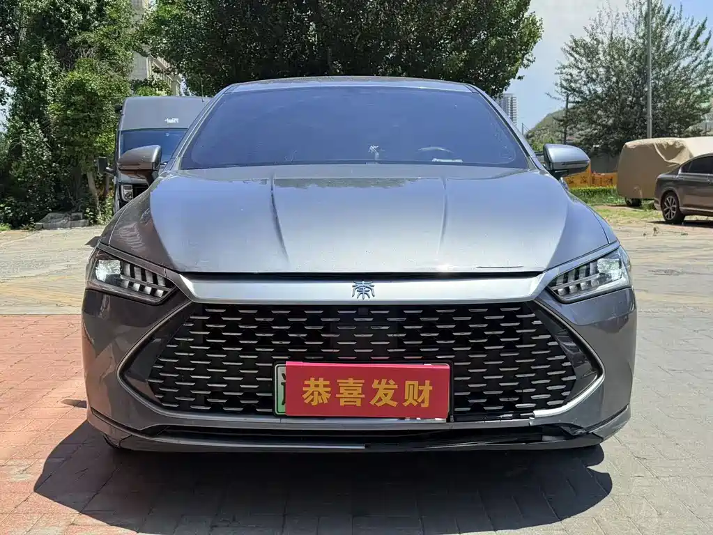 BYD Qin PLUS 2023 — фото 2