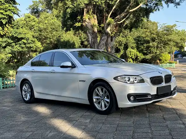 BMW 5 Series 2015
