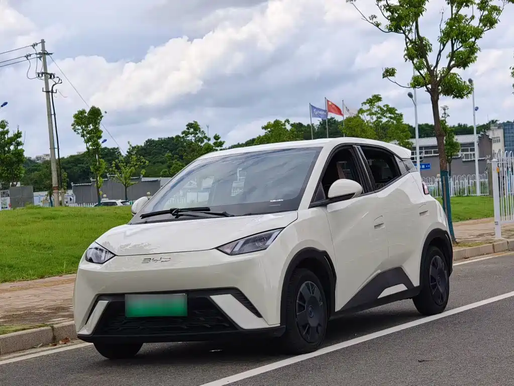 BYD Seagull 2024