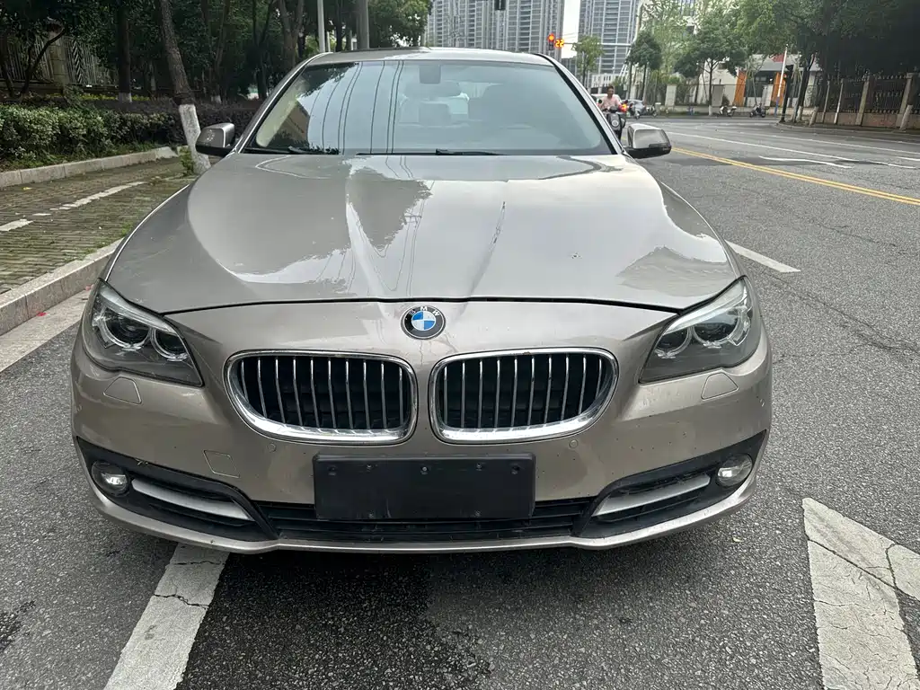 BMW 5 Series 2016 — фото 2