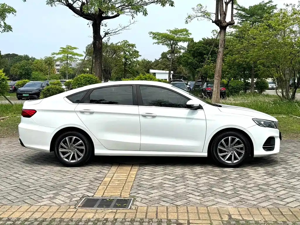 Geely Binrui 2020