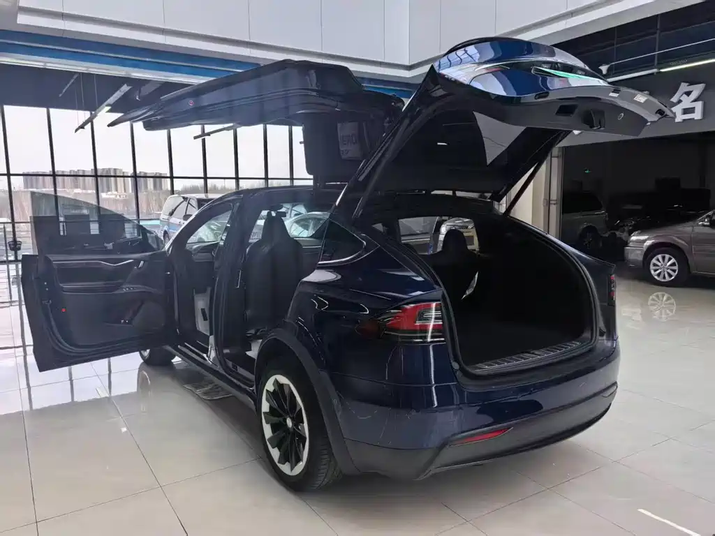 Tesla Model X 2017 — фото 27