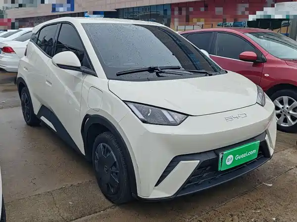 BYD Seagull 2024