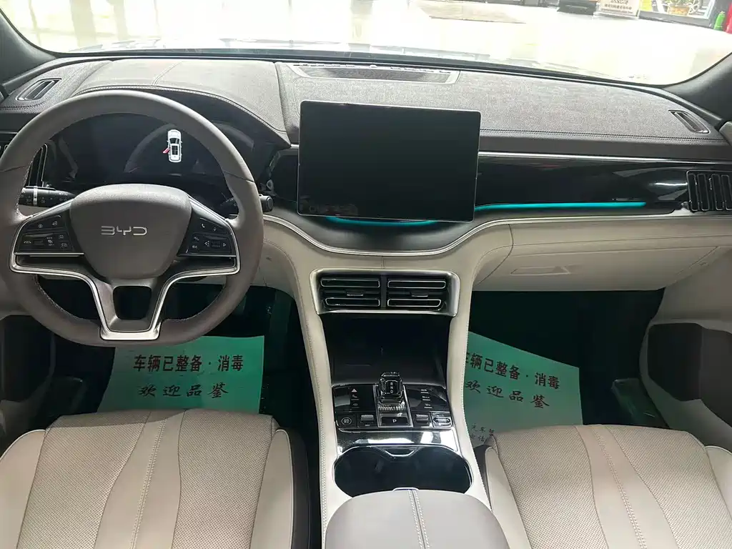 BYD Song PLUS New Energy 2024 — фото 6