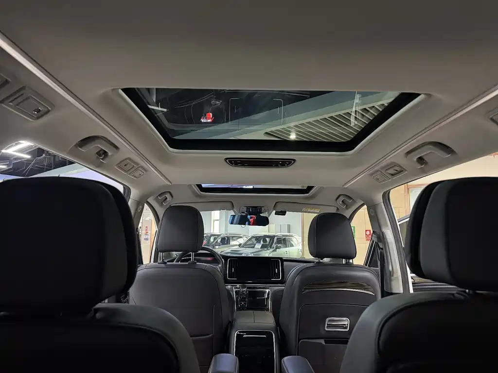 GAC Trumpchi M8 2021 — фото 12