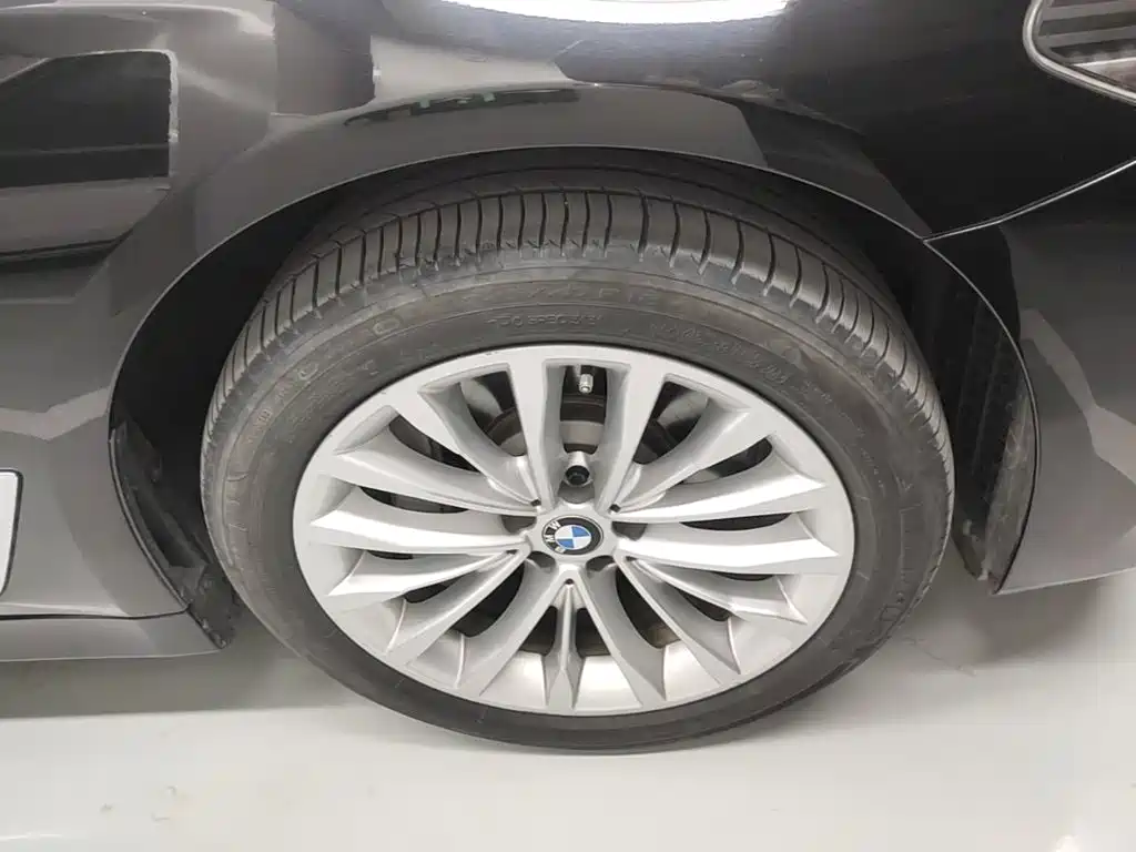BMW 5 Series 2019 — фото 14