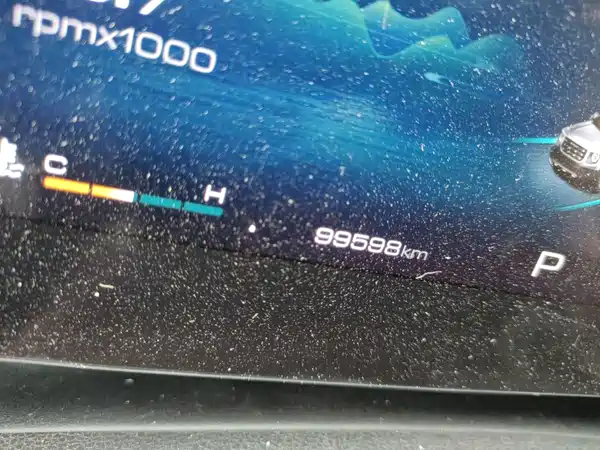 Haval Dargo 2021