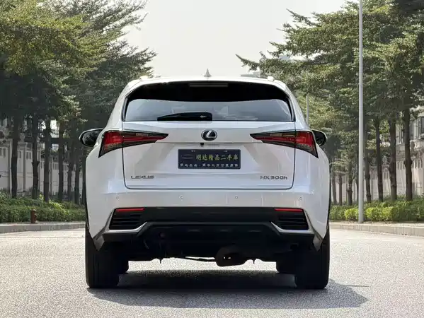 Lexus NX 2020
