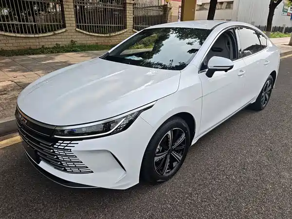 BYD Destroyer 05 2024