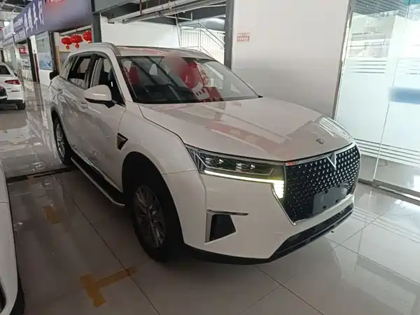 Venucia Star 2020