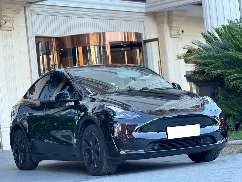 Tesla Model Y 2024 — фото 3