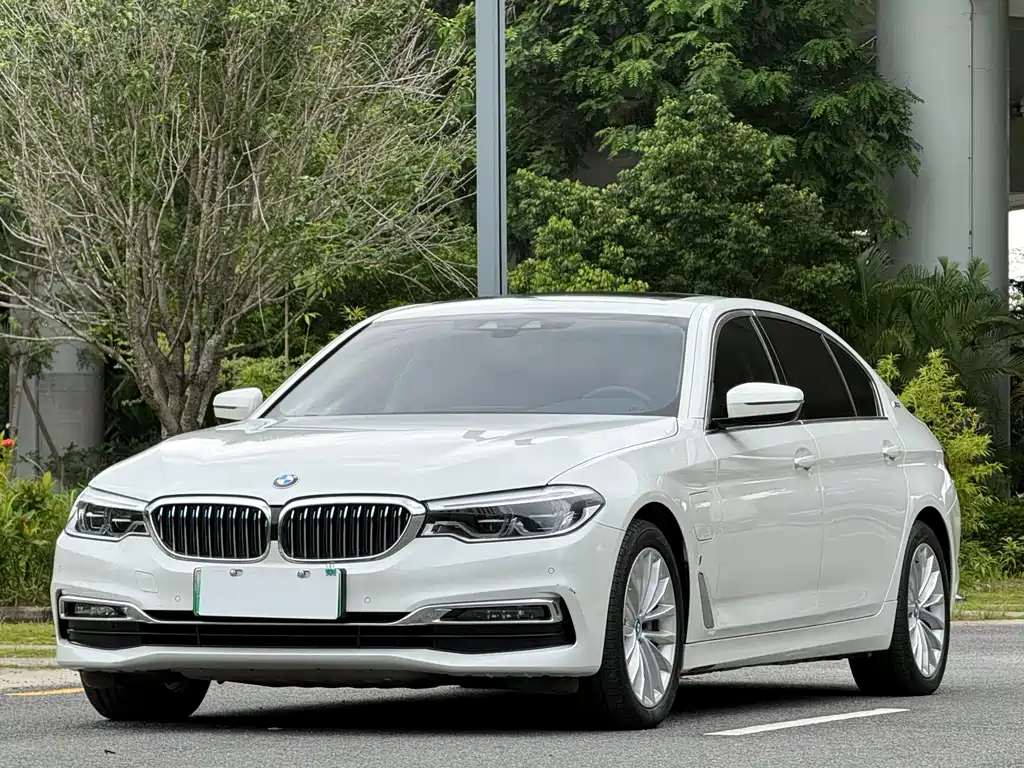 BMW 5 Series New Energy 2019