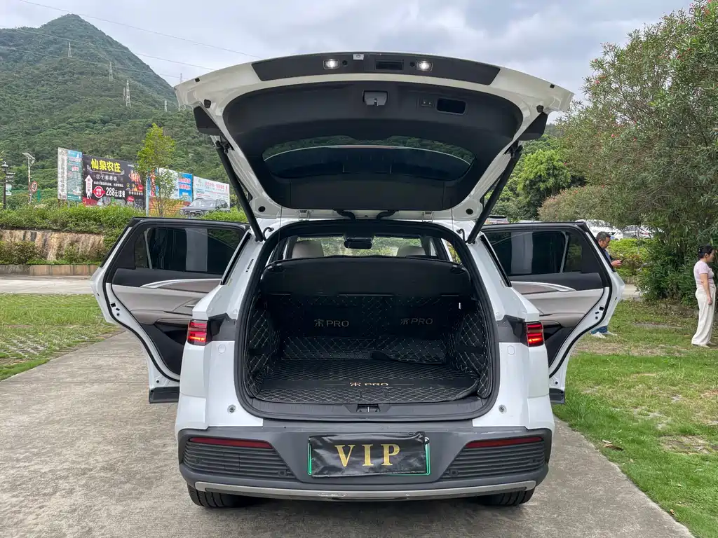 BYD Pro New Energy 2024 — фото 12